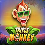Triple Monkey SW